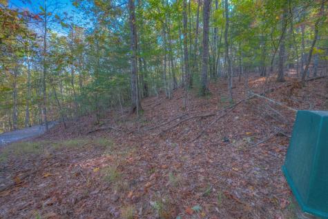 32,70,75 Rollingwood Lane Murphy NC 28906