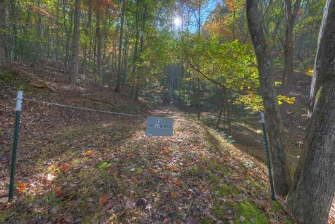 32,70,75 Rollingwood Lane Murphy NC 28906