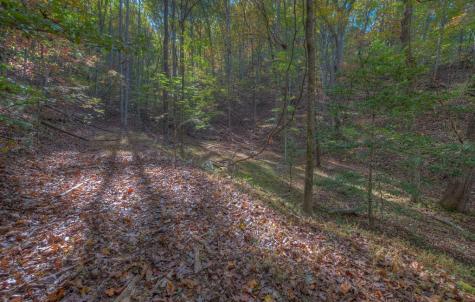 32,70,75 Rollingwood Lane Murphy NC 28906