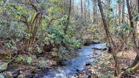 2830 Owl Creek Road Murphy NC 28906