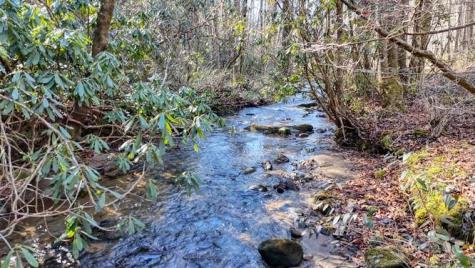 2830 Owl Creek Road Murphy NC 28906