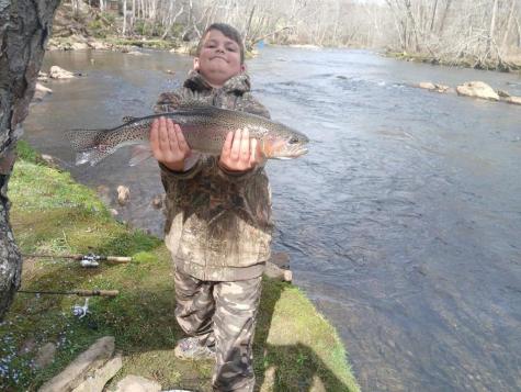 296 Caddis Trail Hayesville NC 28904