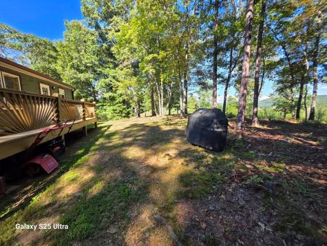 299 Tommy's Lane Murphy NC 28906