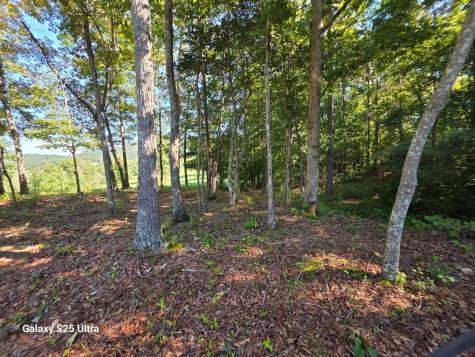 299 Tommy's Lane Murphy NC 28906