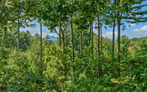 102 Summit Way Blairsville GA 30512