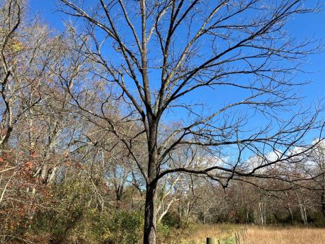 1838 Liberty Road Murphy NC 28906