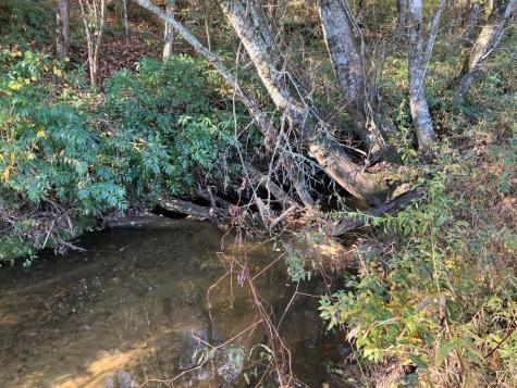 1838 Liberty Road Murphy NC 28906