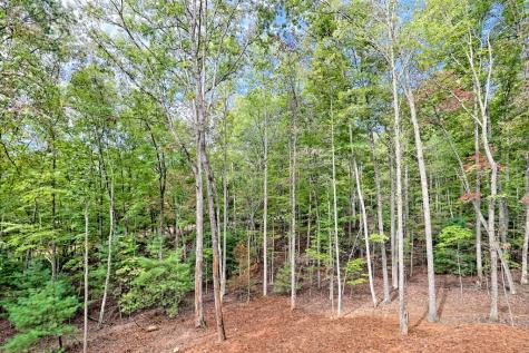 693 Goldmine Road Morganton GA 30560