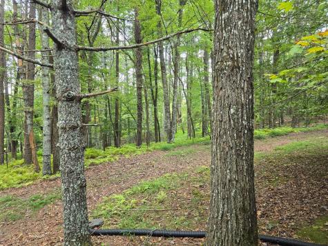 261 Elliott Road Murphy NC 28906