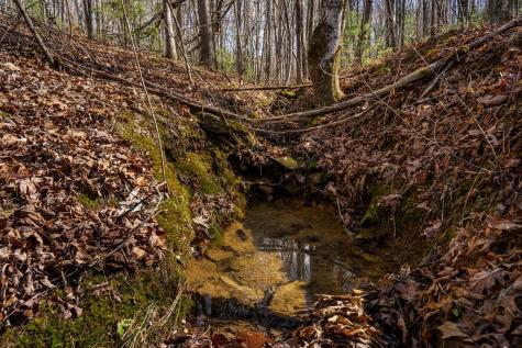 166 Windy Ridge Blue Ridge GA 30513