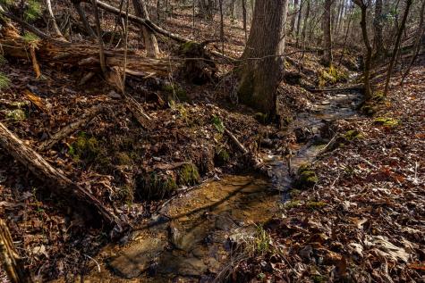 166 Windy Ridge Blue Ridge GA 30513