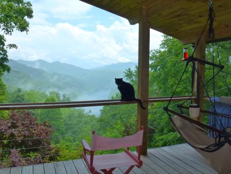 354 Deals Gap Robbinsville NC 28771