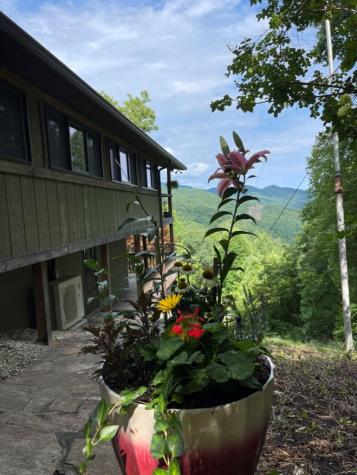 354 Deals Gap Robbinsville NC 28771