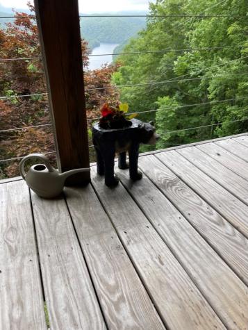 354 Deals Gap Robbinsville NC 28771