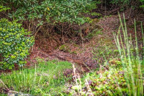 2007 Pine Log Church Road Brasstown NC 28902