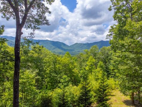 413 Tuskeegee Acres Robbinsville NC 28771