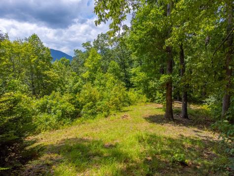 413 Tuskeegee Acres Robbinsville NC 28771