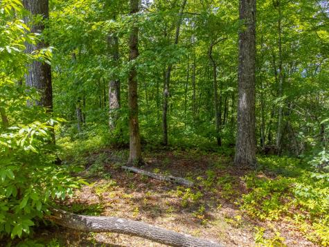 413 Tuskeegee Acres Robbinsville NC 28771