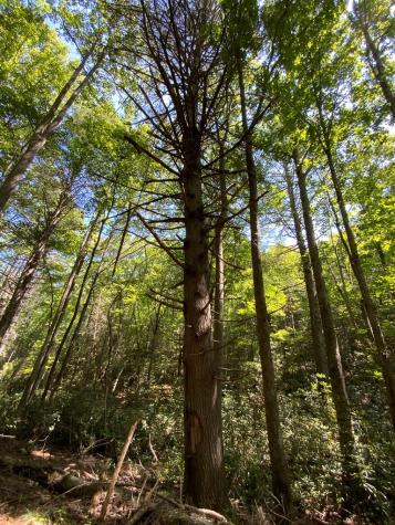 265 Iron Stone Lane Murphy NC 28906