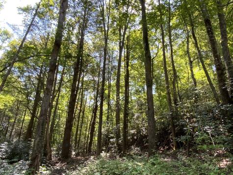 265 Iron Stone Lane Murphy NC 28906