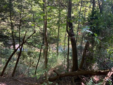 265 Iron Stone Lane Murphy NC 28906