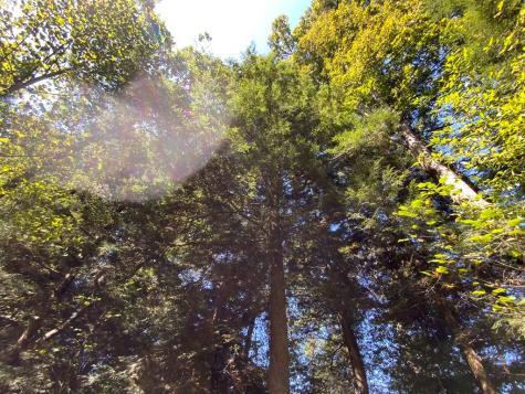 265 Iron Stone Lane Murphy NC 28906