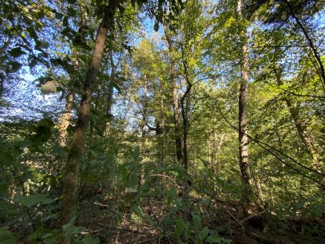 265 Iron Stone Lane Murphy NC 28906