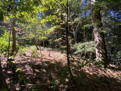 265 Iron Stone Lane Murphy NC 28906