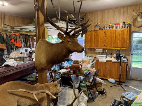 110 Fisher Street Andrews NC 28901