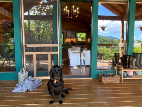 386 Preserve Valley Road Nantahala NC 28781