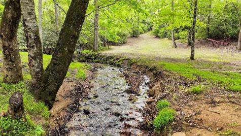 805 Quail Cove Circle Warne NC 28909