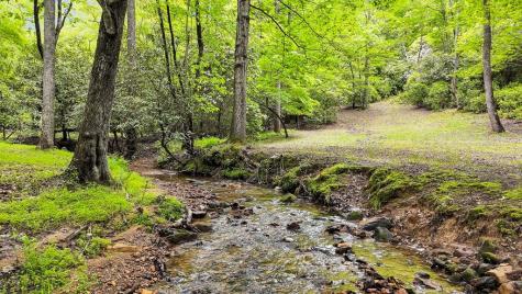 805 Quail Cove Circle Warne NC 28909