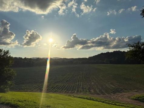 96 West Road Warne NC 28909