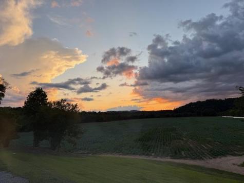 96 West Road Warne NC 28909