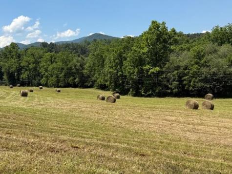 96 West Road Warne NC 28909