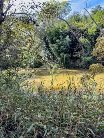 156 Canoe Bend Murphy NC 28906