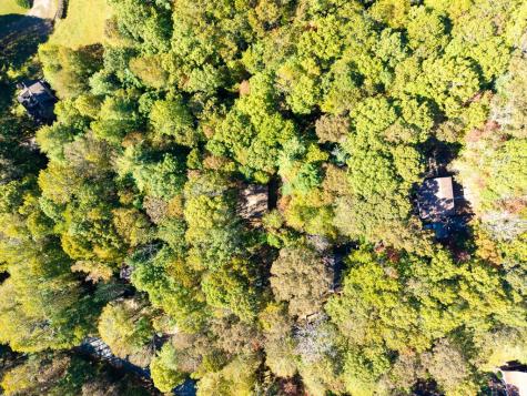 33 Hundred Acre Woods Murphy NC 28906