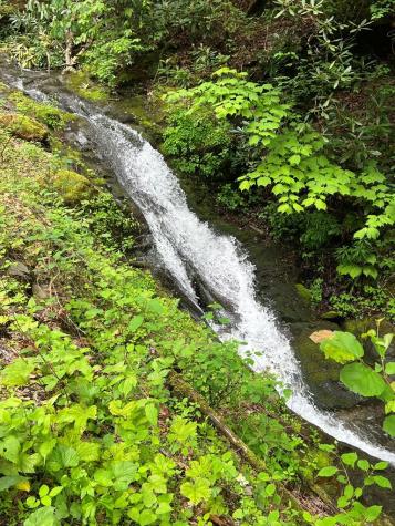 1136 Granny Squirrel Drive Andrews NC 28901