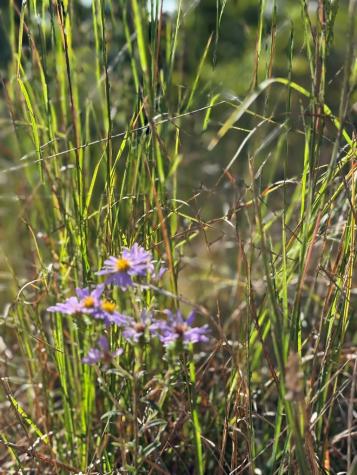 28 Joyce Road Murphy NC 28906