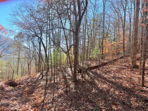 389 Skyview Acres Drive Murphy NC 28906