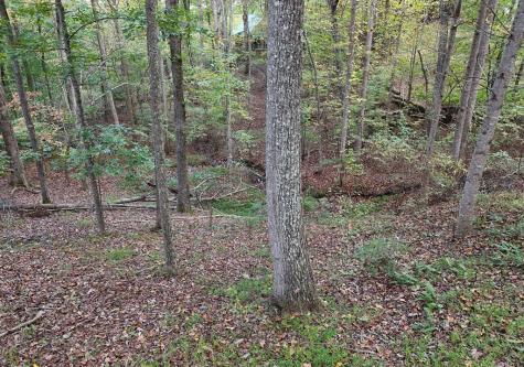 4742 Timberline Sunset Drive Young Harris GA 30582