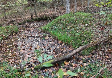 4742 Timberline Sunset Drive Young Harris GA 30582