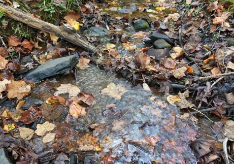 4742 Timberline Sunset Drive Young Harris GA 30582