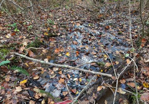 4742 Timberline Sunset Drive Young Harris GA 30582