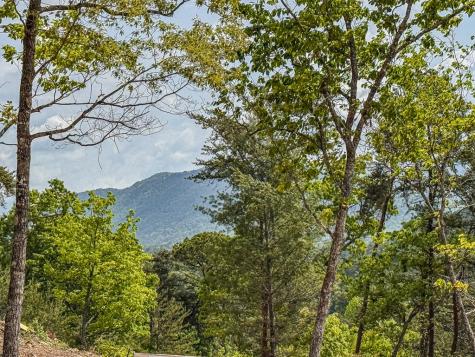 134 Mistletoe Ridge Murphy NC 28906