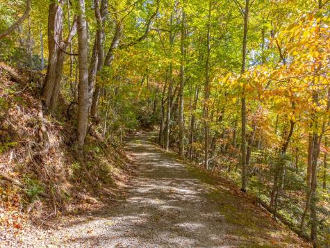 1396 High Splendor Drive Robbinsville NC 28771