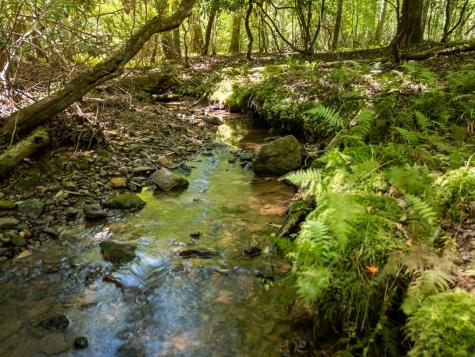 158 Mountain Stream Road Murphy NC 28906