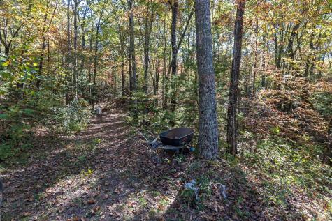 294 Sunnyside Lane Marble NC 28901