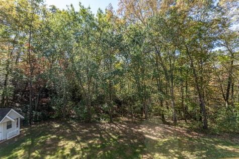 294 Sunnyside Lane Marble NC 28901