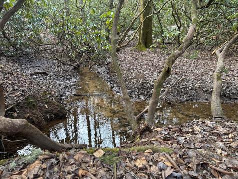 184 Loganberry Lane Hayesville NC 28904